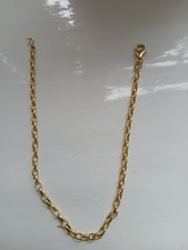 9ct Yellow Gold Belcher