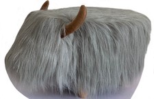 Dillis the Highland Cow