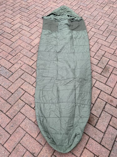 Sleeping bag with bug - sleeping,
