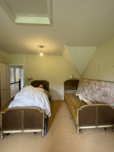 Single cane beds - antique,
