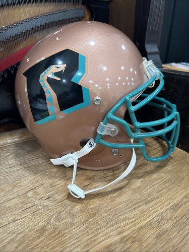 Arena football league - arena,