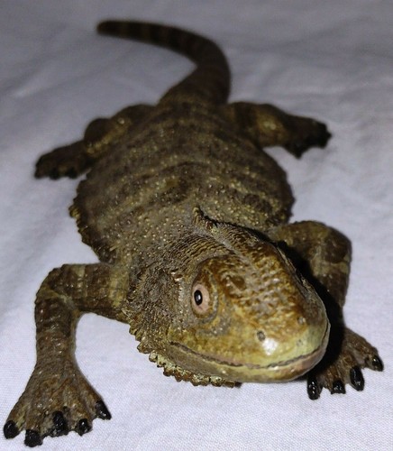 Highly detailed vivarium - detailed,