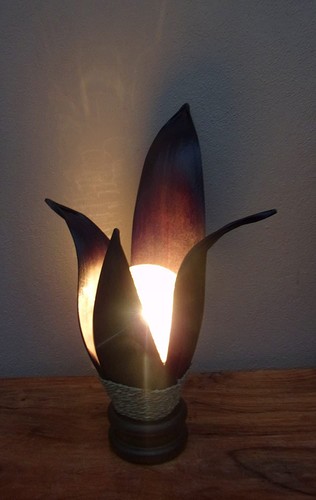 Unusual dark banana - unusual,
