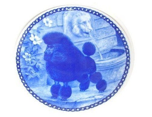 New sealed miniature poodle - new!,