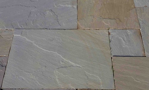 Indian york grey buff - indian,