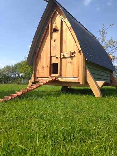 Bespoke posh chicken - chicken, house