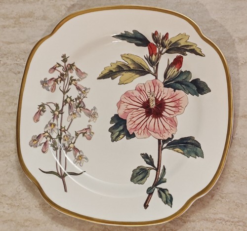 Spode williamsburg penstemon - spode,