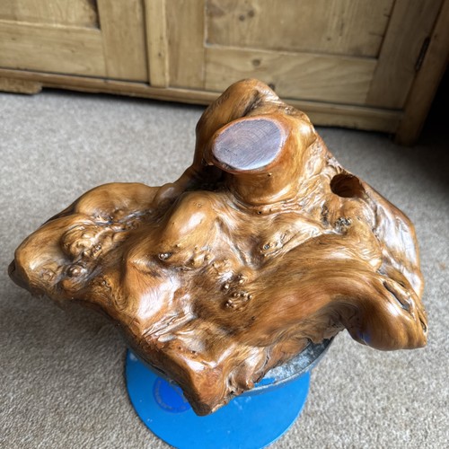 Teak decorative root wood - teak,