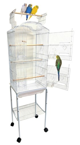 Large open top canary parakeet - open,