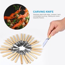 80PCS/Set Culinary Carving