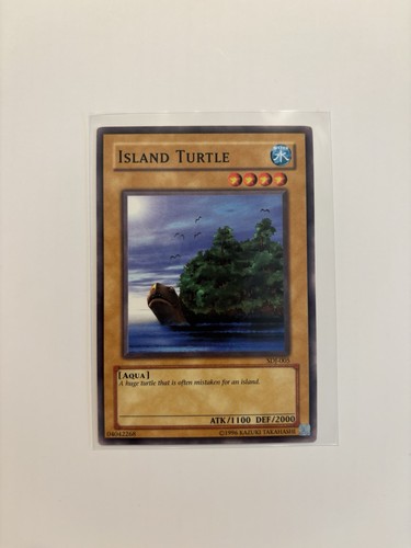 Island turtle sdj - island,