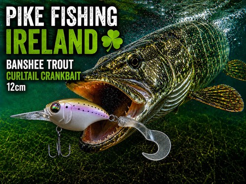 Pike fishing - pike,