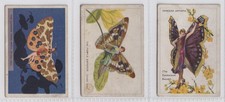 Cigarette cards butterflies - cards,