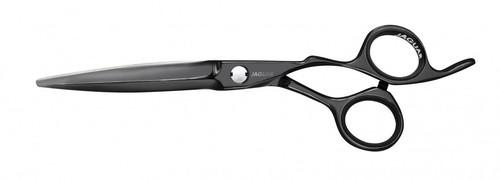 Jaguar heron titan - titan, 5.5