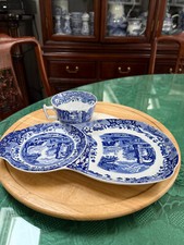 Spode Italian Blue & White Tea
