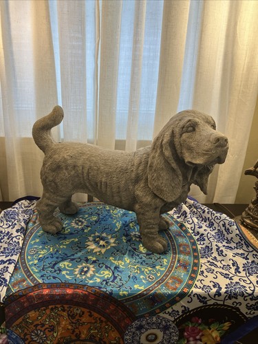Basset hound dog - basset,