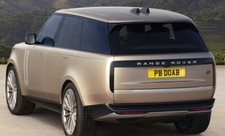 Singh Punjabi Khalsa Jatt