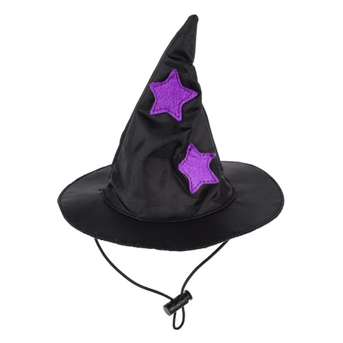 Witch hat dog - dog,