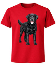 Black Labrador Retriever