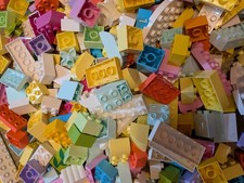 Duplo Brick Bundle In Modern