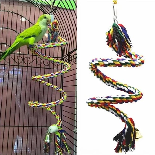 Bird toys parrot - parrot, swing