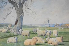 William Sidney Cooper (1854-1927) Sheep Winter Field c1904 landscape Painting