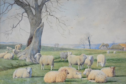 William sidney cooper - william,