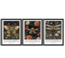 Set Of 3 William Morris Canvas