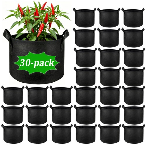 Pack gallon plant - 30,
