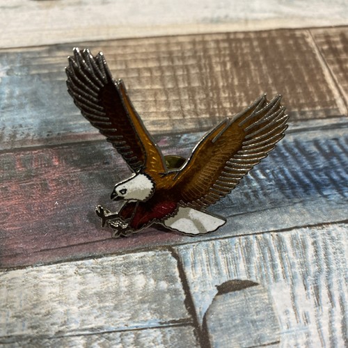 Vintage soaring american bald - soaring,