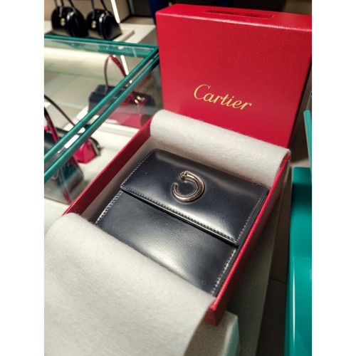 Cartier panther - panther,