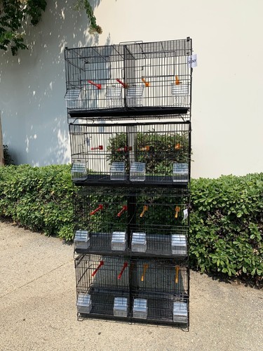 Set stackable breeding - set,