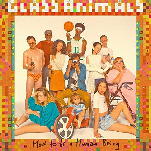 Glass animals how - -, to