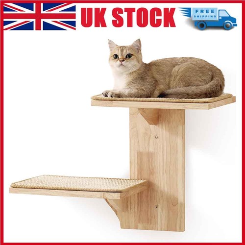 Cat wall shelves - cat,