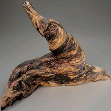 Showpiece 15" Hollow Burl