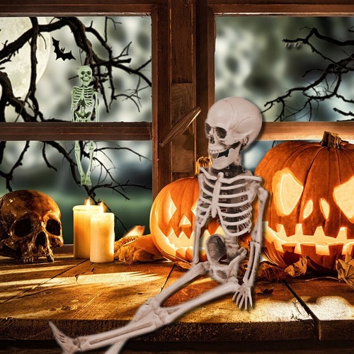 Skeleton poseable human - skeleton,
