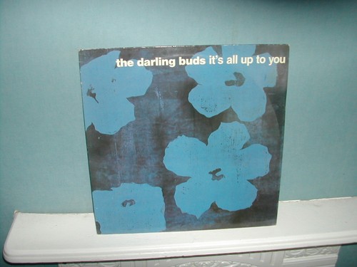 The darling buds all up - the,