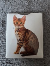 Brand New Bengal Cat