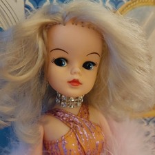 Beautiful Vintage Pedigree