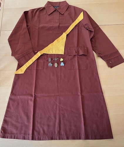 Vintage girl guide - vintage, uk