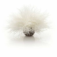 BIORB OASE WHITE SEA LILY AQUARIUM DECORATION TANK ORNAMENT PLANT DECOR BIUBE