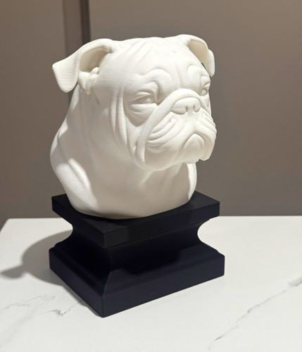 English bulldog dog - english,