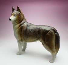 Siberian Husky Red Copper