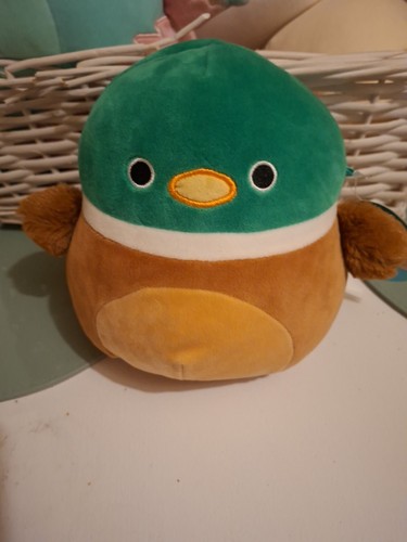 Avery the mallard duck - the,