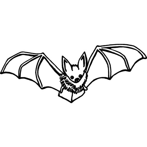 Flying bat unmounted rubber - 'flying,