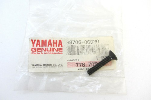 Original screw fairing mirror