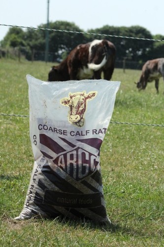 Argo coarse calf ration - ration,
