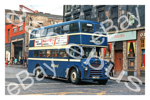 Bus photograph alexander - photograph,