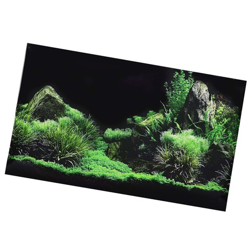Aquarium fish tank - _aquarium,