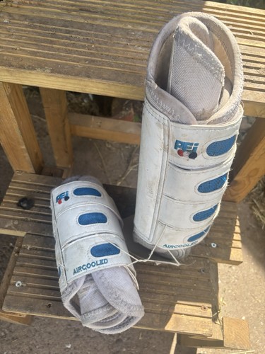 Premier equine air cooled - equine,